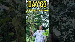 DAY 63100 🕉️ JAI SHREE KRISHNA  MINIVLOG  DAILY ROUTINE  SHORTS shorts ytshorts minivlog [upl. by Jonie]