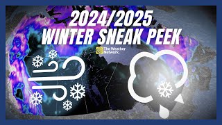 A Sneak Peek at the Winter Forecast for 20242025  winterforecast [upl. by Bellina]