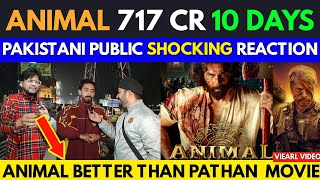 Animal Movie Cross 717 Crores in 10 Days  Public Review  Pakistani Public Reactions [upl. by Llenahs34]