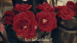 ami bebe nilam Tumi sei lal gulap💓🥀 [upl. by Gabrila]