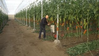 ASEarthworms work for farmers recycling the vegetable waste generated in Almería’s greenhouses [upl. by Sherer]