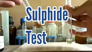 Testing Sulphide [upl. by Enoved]