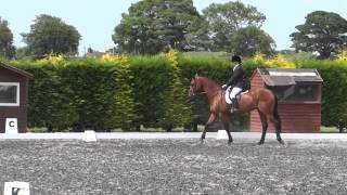 Novice 30 Dressage test [upl. by Jc]