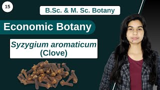 Economic Botany  Syzygium aromaticum  Clove  B Sc amp M Sc [upl. by Edda]