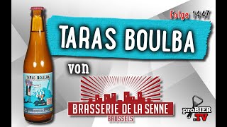 Taras Boulba von Brasserie de la Senne  Craft Bier Verkostung 1447 [upl. by Siul715]