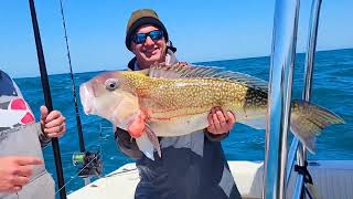 Catching a BIG golden tilefish [upl. by Wichman885]