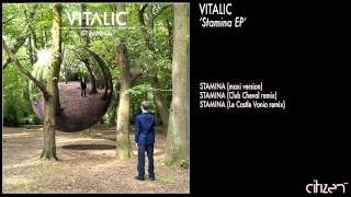 Vitalic  Stamina Maxi Version [upl. by Auberta854]