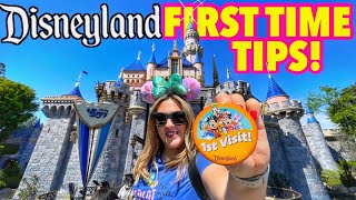 FIRST TIME DISNEYLAND GUIDE Tips Tricks and EVERYTHING you need to know  MUST DO’S in 2022 [upl. by Anhsirk70]