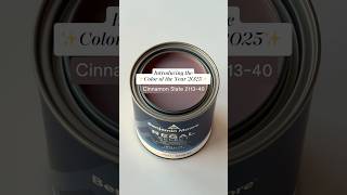 Benjamin Moore Color of the Year 2025 Cinnamon Slate 211340 [upl. by Onateyac908]