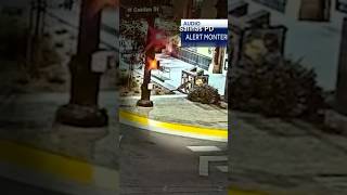 Mountain lion spotted in a California city’s downtown shorts shortsvideo [upl. by Alexi]