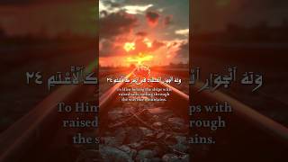 Surah ArRahman  7  Recited by AbdulBaset AbdulSamad Mujawwad quran recitation shorts yt [upl. by Armat]