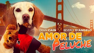 Amor de Peluche PELÍCULA COMPLETA  Películas de Comedia Familiar  Pelis de Estrella [upl. by Micah]