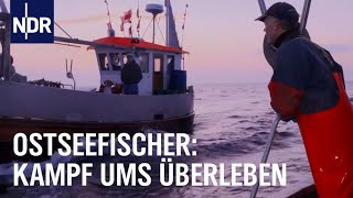 Der letzte Fang Ostseefischer vor dem Aus  Die Nordreportage  NDR [upl. by Elmore910]