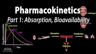 Pharmacokinetics part 1 Overview Absorption and Bioavailability Animation [upl. by Rehpatsirhc]