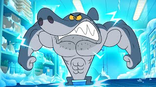 SUPER SHARK  Zig amp Sharko SEASON 3 BEST CARTOON COLLECTION  New Episodes in HD [upl. by Shields227]