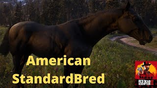 Red Dead Redemption 2 American Standardbred Horse Guaranteed Location [upl. by Heintz]