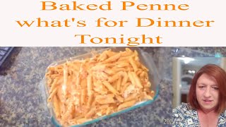 whats for dinnerBaked Penne Pasta lasagna with chickenpantry cookingbudget friendly [upl. by Oflunra195]