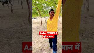 आल्हा भईया एम पी 16 short viral video मुनी लाल [upl. by Eldwin778]