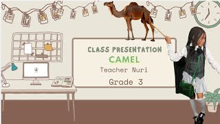 Camel Adaptation Presentation [upl. by Izogn156]