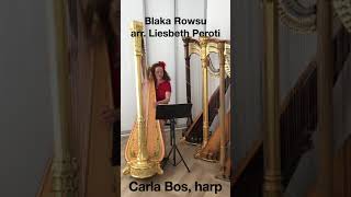 Caribbean Folk Song  Blaka Rowsu [upl. by Lledrac896]