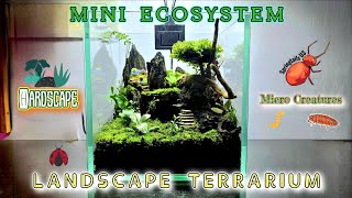 Terrarium  Nano Landscape Ecosystem 🌍 🌱 🐜 🐌 🐞  terrarium hardscapedesign ecosystem [upl. by Llednek]