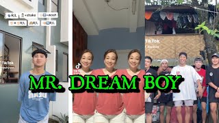 MR DREAM BOY DANCE CHALLENGE  TIKTOK COMPILATION [upl. by Ateuqal338]