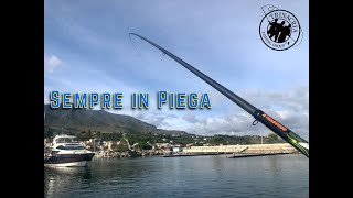 Pesca a Bolognese  Caccia al Cefalo in Porto testiamo i mono fili PLine [upl. by Adalbert365]