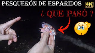 🟢 ¿QUÉ PASÓ PESQUERÓN DE ESPÁRIDOS EN SOLO 5H DE PESCA  SURFCASTING ALMERÍA 🟢 [upl. by Mulderig865]