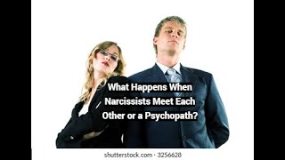 What Happens When Narcissists Meet Each Other or a Psychopath [upl. by Sosthena]