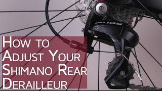 How to Adjust your Shimano Rear Derailleur  CGT  Bike School [upl. by Eraste]