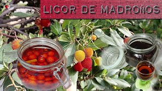 Aprende a Elaborar un Licor de Madroños FÁCIL [upl. by Yrred109]