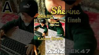 Sherine Kalam Eineh ARABIC AZIZBEK47 remix arabic bass music [upl. by Clyde541]