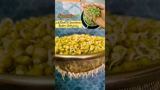 ఈజీగ మొలకలని చేయడం ఎలాHow to make Sprouts in 1 daysproutsshortsdiethealthytipsandtrickshacks [upl. by Oninotna966]