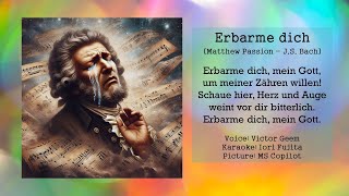 Erbarme dich Matthew Passion  JS Bach [upl. by Nudnarb]