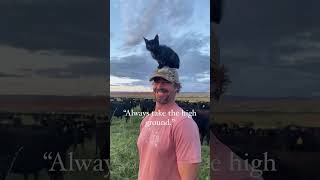 Always take the High Ground  Funny Pets funnyvideo funnypets pets nutrients grassfed [upl. by Leynwad209]