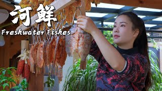 Freshwater Fishes Fresh Flavors from Streams in Yunnan Mountains【滇西小哥】 [upl. by Sarchet]