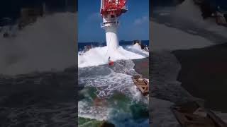 Sea life 🧬 video  watch til end 😭 ocean life ship 🚢⚓manam ninaithal tamil trends [upl. by Marinelli78]