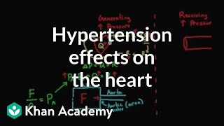 Hypertension effects on the heart  Health amp Medicine  Khan Academy [upl. by Even547]