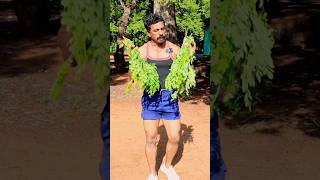 Diet plan Ideas tamil  Healthy Life style  Sathish fitness tamil [upl. by Aicela]