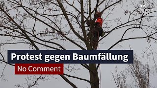 Protest gegen Baumfällung in Stötteritz  LZ TV No Comment [upl. by Arakaj571]