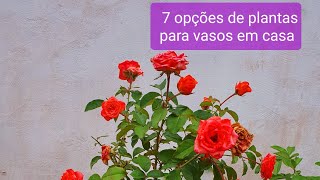 7 PLANTAS EM VASO QUE VOCÊ PODE TER ATÉ NA SACADA DO APARTAMENTO [upl. by Galven780]