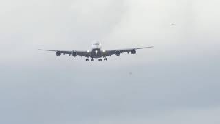 Live Heathrow airport 23022024 heathrow airport Live [upl. by Wait]