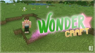 Humble Beginnings  WonderCraft 1 [upl. by Winwaloe972]