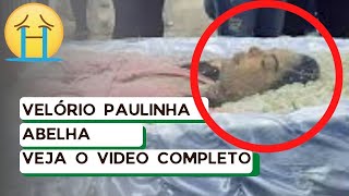 VELÓRIO PAULINHA ABELHA  VIDEO COMPLETO VEJA ATÉ O FINAL EMOCIONANTE HOMENAGEM [upl. by Ayekram]