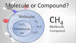 Molecule vs Compound Examples and Practice [upl. by Ynos]