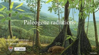 Lecture 25 Paleogene radiations April 9 [upl. by Reiss868]