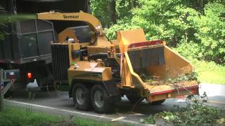 AX19 Vermeer Brush Chipper  Vermeer Tree Care Equipment [upl. by Sandon]