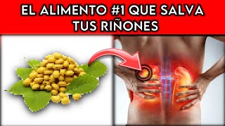 ALIMENTO 1 que SALVA tus RIÑONES  ¡EVITA la DIALISIS [upl. by Toby369]