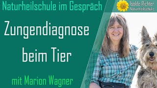 Zungendiagnose beim Tier – Naturheilschule im Gespräch [upl. by Hennie376]