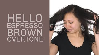 how to apply Espresso Brown oVertone [upl. by Demetria]